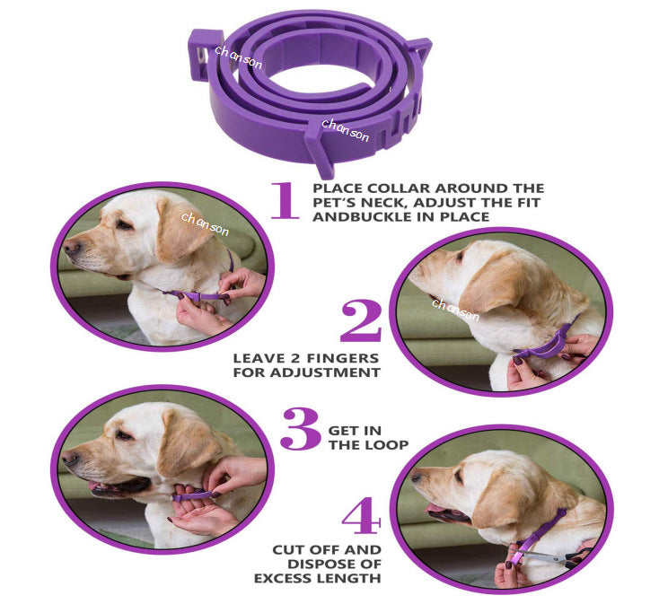 Collier apaisant pour chien et chat