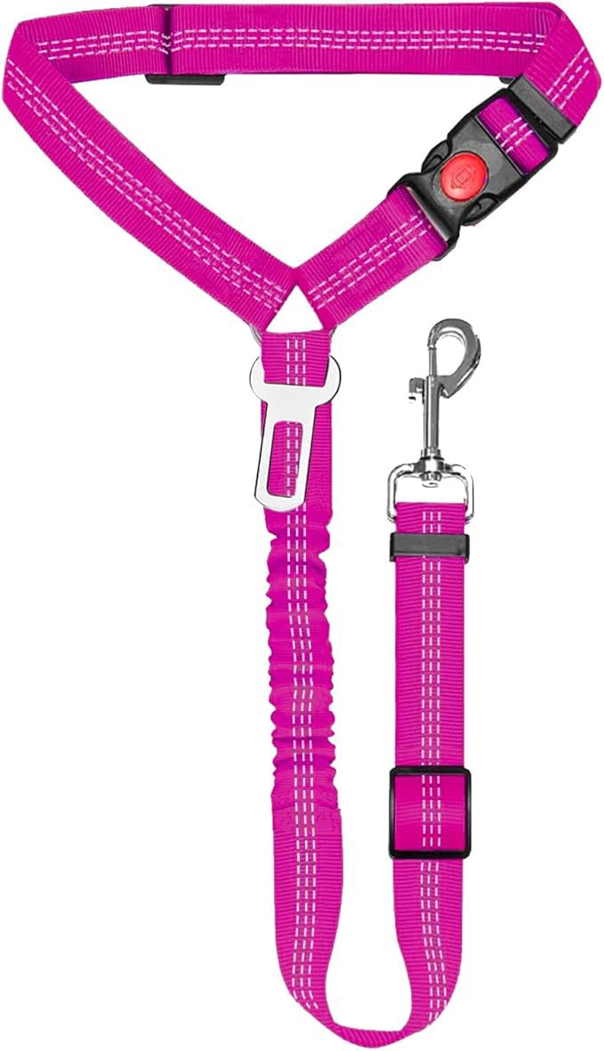 Ceinture de sécurité pour animaux