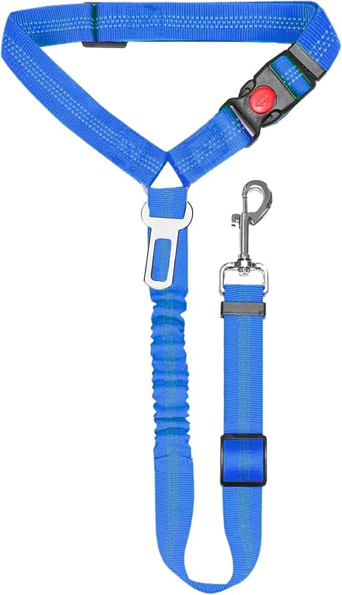 Ceinture de sécurité pour animaux