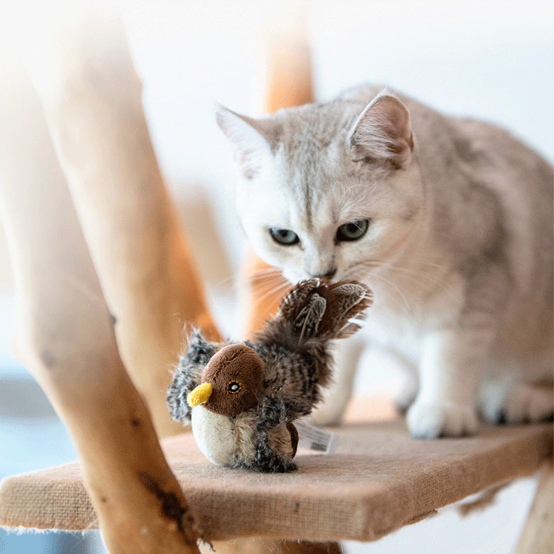 Oiseau Jouet pour Chat