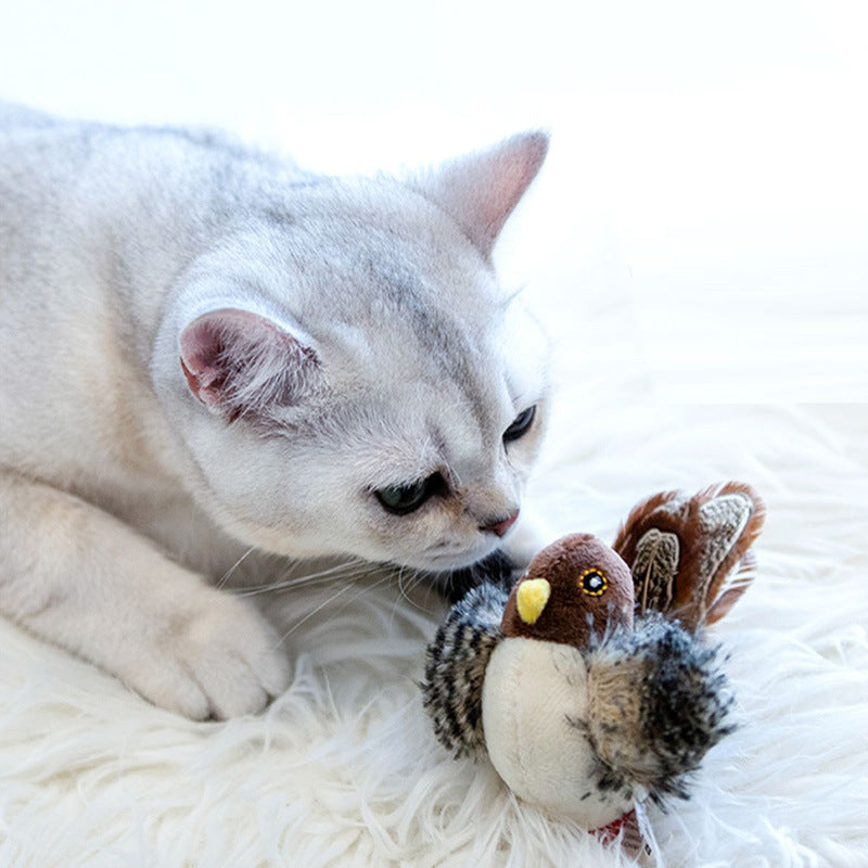 Oiseau Jouet pour Chat