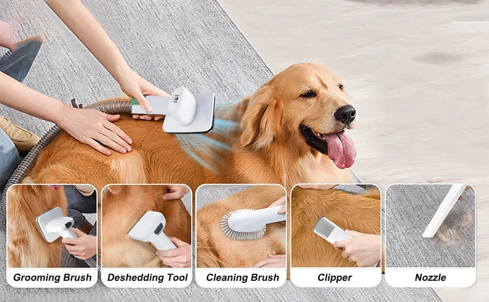 Kit d’aspirateur de toilettage pour animaux