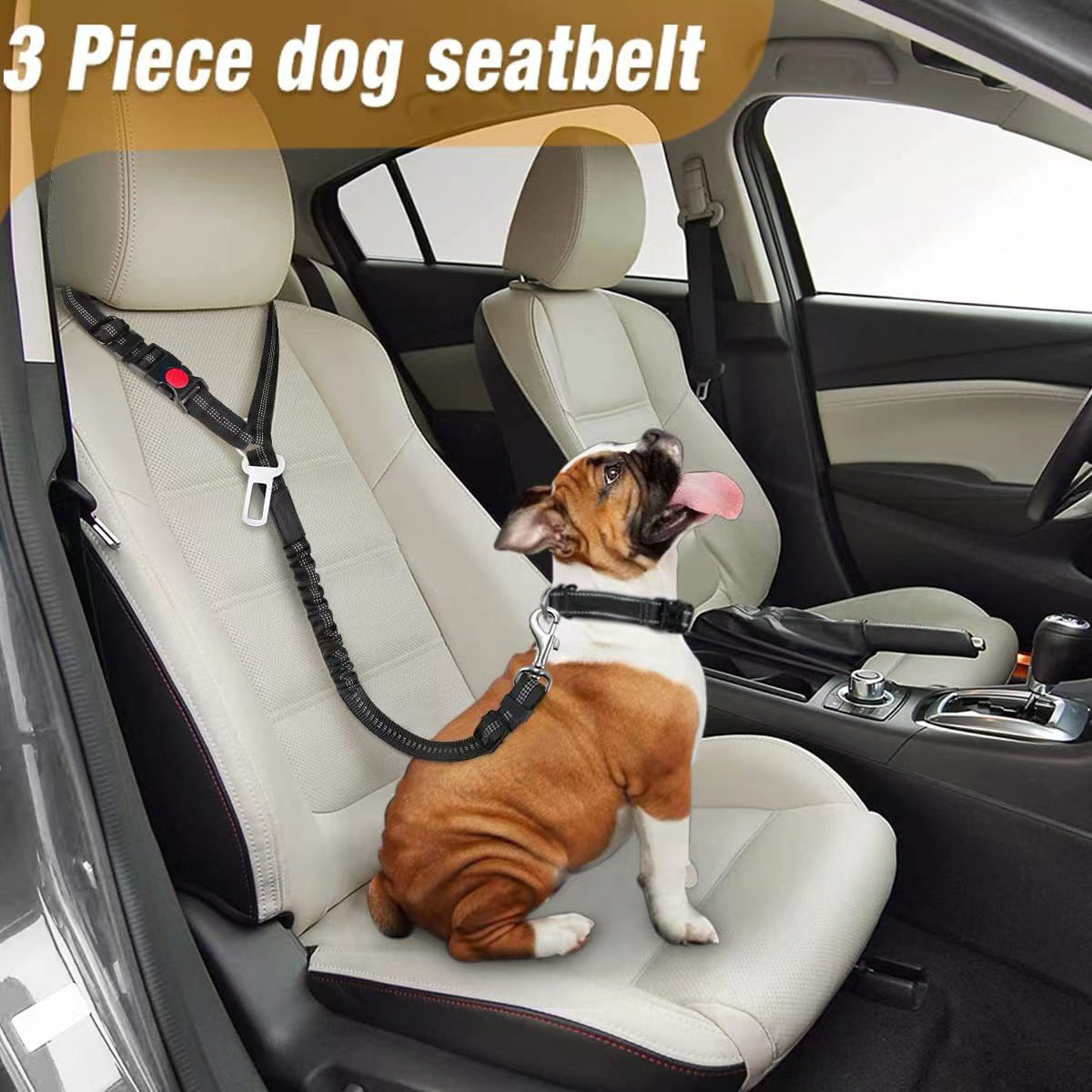 Ceinture de sécurité pour animaux