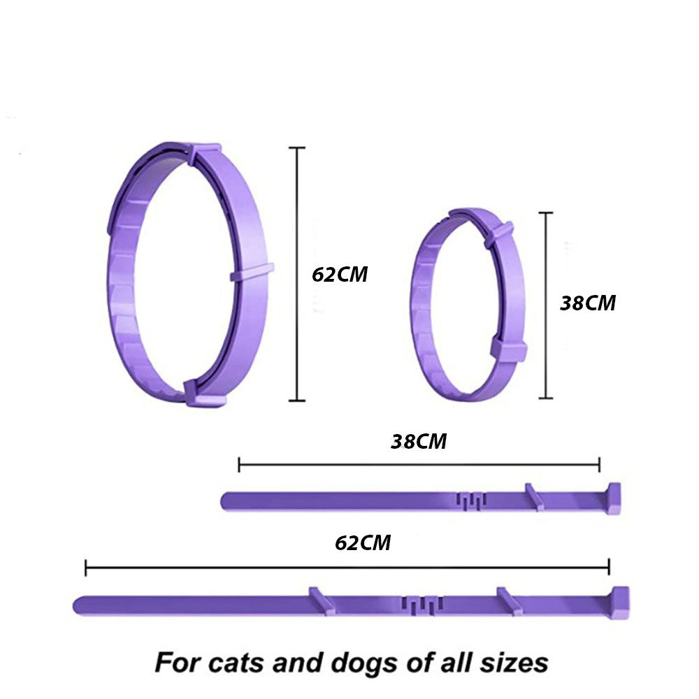 Collier apaisant pour chien et chat