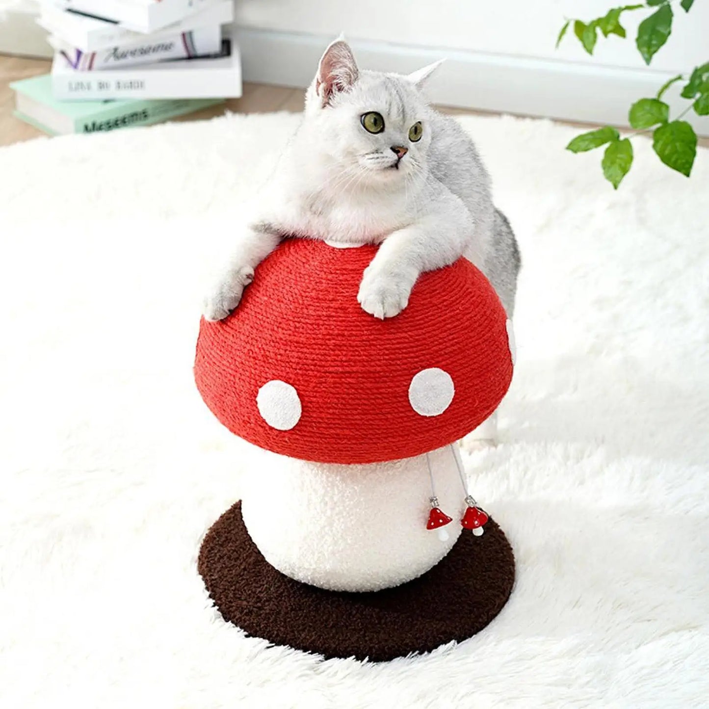 Champignon griffoir