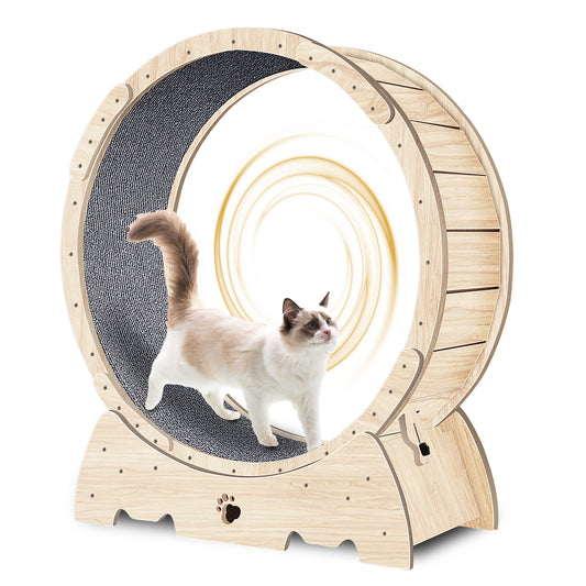 Roue d’exercice
