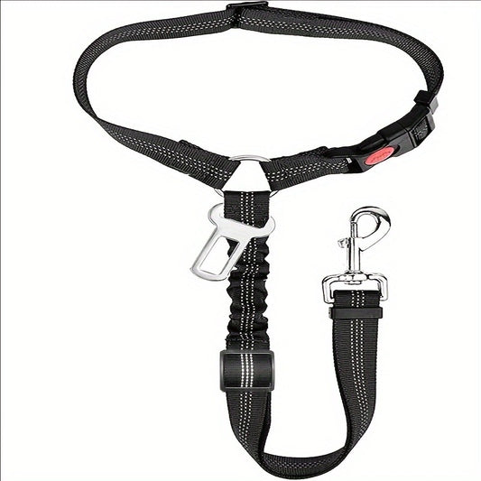 Ceinture de sécurité pour animaux