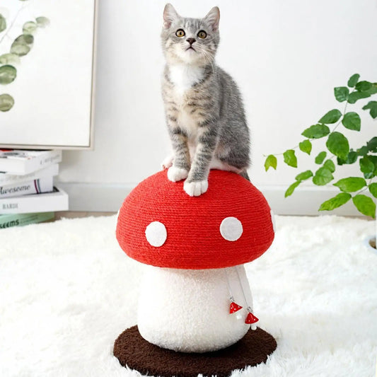 Champignon griffoir